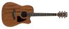 Ibanez AW54CE Ibanez AW54CE