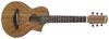 Ibanez EWP14WB Ibanez EWP14WB