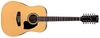 Ibanez PF1512 Ibanez PF1512