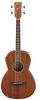Ibanez PNB14E-OPN Acoustic Bass Ibanez PNB14E-OPN Acoustic Bass