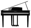 Kawai DG-30 Kawai DG-30
