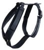 Kentucky Dogwear Hundegeschirr Aktiv Velvet XL Kentucky Dogwear Hundegeschirr Aktiv Velvet XL