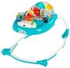 Kids II Sky Explorers (11901) Kids II Sky Explorers (11901)