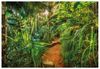 Komar Fototapete Jungle Trail 8-989 Komar Fototapete Jungle Trail 8-989
