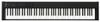 Korg D1 Korg D1