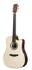 Lakewood D-31 CP Lakewood D-31 CP