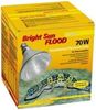 Lucky Reptile Bright Sun Flood Desert 70 W Lucky Reptile Bright Sun Flood Desert 70 W