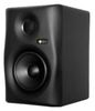 Monkey Banana Gibbon 5 Monkey Banana Gibbon 5