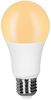 Müller Licht tint LED (404001) Müller Licht tint LED (404001)