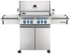 Napoleon Prestige Pro 500 RSIB (PRO500RSIBPSS-3-DE) Napoleon Prestige Pro 500 RSIB (PRO500RSIBPSS-3-DE)