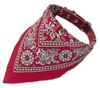 Nobby Halsband mit Tuch 40 cm Nobby Halsband mit Tuch 40 cm