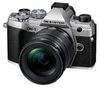 OM System OM-5 + 12-45 mm OM System OM-5 + 12-45 mm