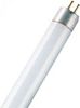 Ledvance Lumilux T5 L 13 W/840 FLH1 Ledvance Lumilux T5 L 13 W/840 FLH1