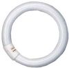 Ledvance Lumilux T9 C Ringform L 22 W/827 C G10Q FLH1 Ledvance Lumilux T9 C Ringform L 22 W/827 C G10Q FLH1