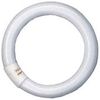 Ledvance Lumilux T9 C Ringform L 32 W/840 C G10Q FLH1 Ledvance Lumilux T9 C Ringform L 32 W/840 C G10Q FLH1