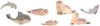 Ostheimer 2290 Wal Ostheimer 2290 Wal