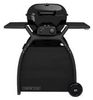 Outdoorchef P-480 G Compactchef Outdoorchef P-480 G Compactchef