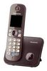 Panasonic KX-TG6811 Panasonic KX-TG6811