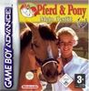 dtp Pferd & Pony - Mein Gestüt GBA dtp Pferd & Pony - Mein Gestüt GBA
