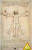 Piatnik Da Vinci Proportionen Puzzle Piatnik Da Vinci Proportionen Puzzle