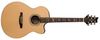 PRS SE A20E PRS SE A20E