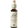 Nelsons BACHBLUETEN AGRIMONY TROPFEN 20 ML Nelsons BACHBLUETEN AGRIMONY TROPFEN 20 ML