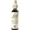 Nelsons BACHBLUETEN CENTAURY TROPFEN 20 ML Nelsons BACHBLUETEN CENTAURY TROPFEN 20 ML