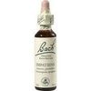 Nelsons BACHBLUETEN IMPATIENS TROPFEN 20 ML Nelsons BACHBLUETEN IMPATIENS TROPFEN 20 ML