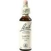 Nelsons BACHBLUETEN LARCH TROPFEN 20 ML Nelsons BACHBLUETEN LARCH TROPFEN 20 ML