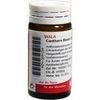 Wala CANTHARIS BLASEN GLOBULI VELATI, 20 g Wala CANTHARIS BLASEN GLOBULI VELATI, 20 g