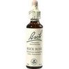 Nelsons BACHBLUETEN ROCK ROSE TROPFEN 20 ML Nelsons BACHBLUETEN ROCK ROSE TROPFEN 20 ML