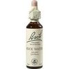 Nelsons BACHBLUETEN ROCK WATER TROPFEN 20 ML Nelsons BACHBLUETEN ROCK WATER TROPFEN 20 ML
