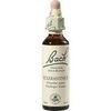 Nelsons BACHBLUETEN SCLERANTHUS TROPFEN 20 ML Nelsons BACHBLUETEN SCLERANTHUS TROPFEN 20 ML