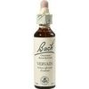 Nelsons BACHBLUETEN VERVAIN TROPFEN 20 ML Nelsons BACHBLUETEN VERVAIN TROPFEN 20 ML