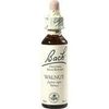 Nelsons BACHBLUETEN WALNUT TROPFEN 20 ML Nelsons BACHBLUETEN WALNUT TROPFEN 20 ML