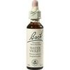 Nelsons BACHBLUETEN WATER VIOLET TROPFEN 20 ML Nelsons BACHBLUETEN WATER VIOLET TROPFEN 20 ML