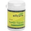 Allcura Mumijo-Kapseln 60 Stk. Allcura Mumijo-Kapseln 60 Stk.