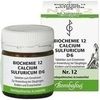 Bombastus-Werke BIOCHEMIE 12 CALCIUM SULFURICUM D 6 TABL Bombastus-Werke BIOCHEMIE 12 CALCIUM SULFURICUM D 6 TABL