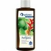 Spitzner Wellness Saunaaufguss Ingwer-Limette 190 ml Spitzner Wellness Saunaaufguss Ingwer-Limette 190 ml