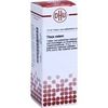 DHU-Arzneimittel THUJA EXTERN TINKTUR, 20 ml DHU-Arzneimittel THUJA EXTERN TINKTUR, 20 ml