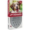 Elanco Advantix Spot on Hunde 10-25 kg 4 Stk. Elanco Advantix Spot on Hunde 10-25 kg 4 Stk.