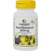 Warnke Vitalstoffe NACHTKERZENOEL 500 MG KAPSELN Warnke Vitalstoffe NACHTKERZENOEL 500 MG KAPSELN