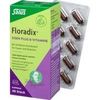Salus Floradix Eisen plus B-Vitamine Kapseln 40 Stk. Salus Floradix Eisen plus B-Vitamine Kapseln 40 Stk.