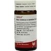 Wala NUX VOMICA E SEMINE D 6 GLOBULI, 20 g Wala NUX VOMICA E SEMINE D 6 GLOBULI, 20 g