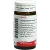 Wala SYMPHYTUM COMP GLOBULI, 20 g Wala SYMPHYTUM COMP GLOBULI, 20 g