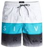 Quiksilver Word Block 17 Quiksilver Word Block 17