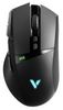 Rapoo VT350 Rapoo VT350
