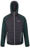 Regatta Andreson V Herren Regatta Andreson V Herren