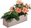 Relaxdays Blumenkasten für innen (10027000) Relaxdays Blumenkasten für innen (10027000)