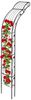 Relaxdays Halbrunder Rosenbogen zur Wandmontage (10030854) Relaxdays Halbrunder Rosenbogen zur Wandmontage (10030854)
